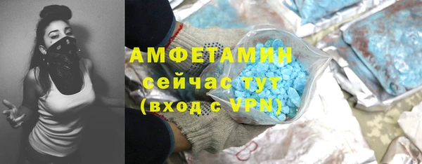 хмурый Арсеньев