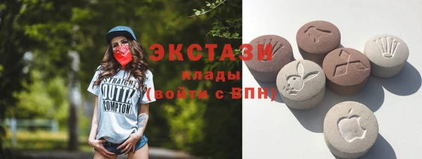 хмурый Арсеньев