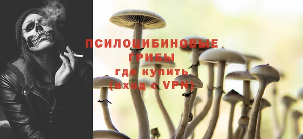 хмурый Арсеньев