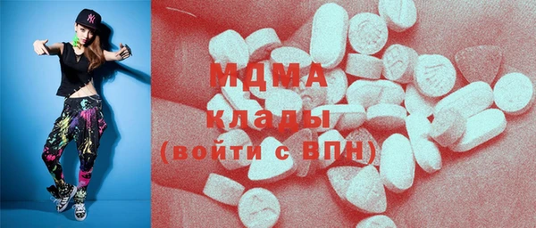 хмурый Арсеньев