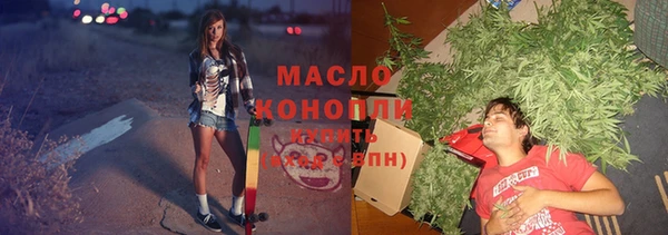 хмурый Арсеньев