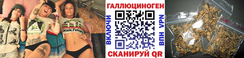 закладка  Темрюк  Галлюциногенные грибы ЛСД 