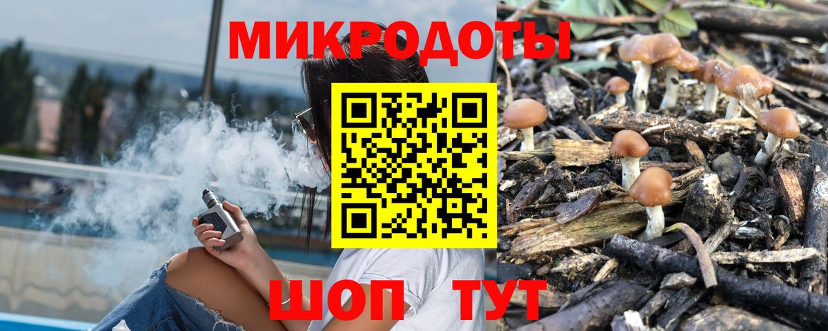 Галлюциногенные грибы Cubensis Темрюк