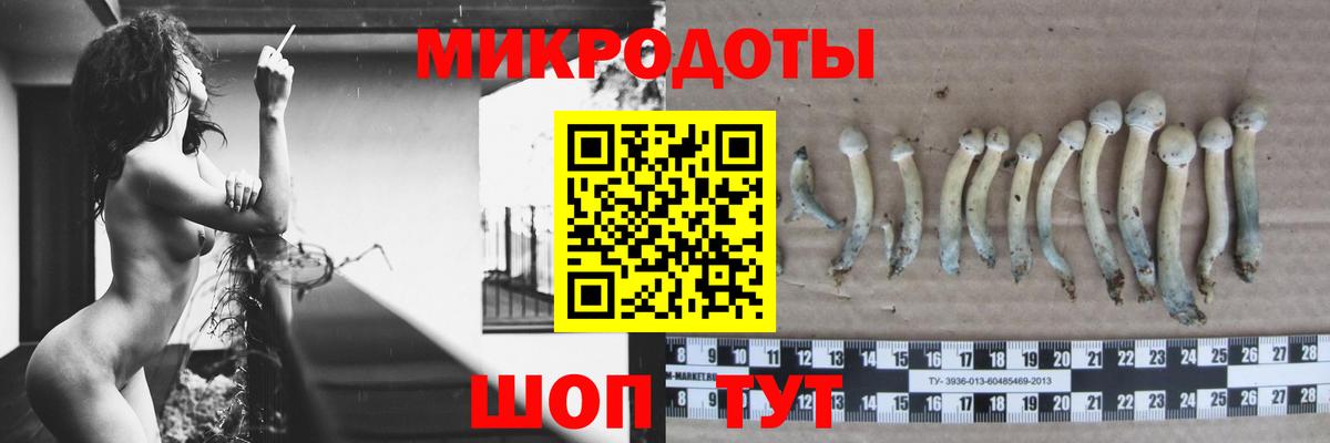 продажа наркотиков  Вход с VPN  Псилоцибиновые грибы прущие грибы  Темрюк  Псилоцибиновые грибы прущие грибы 